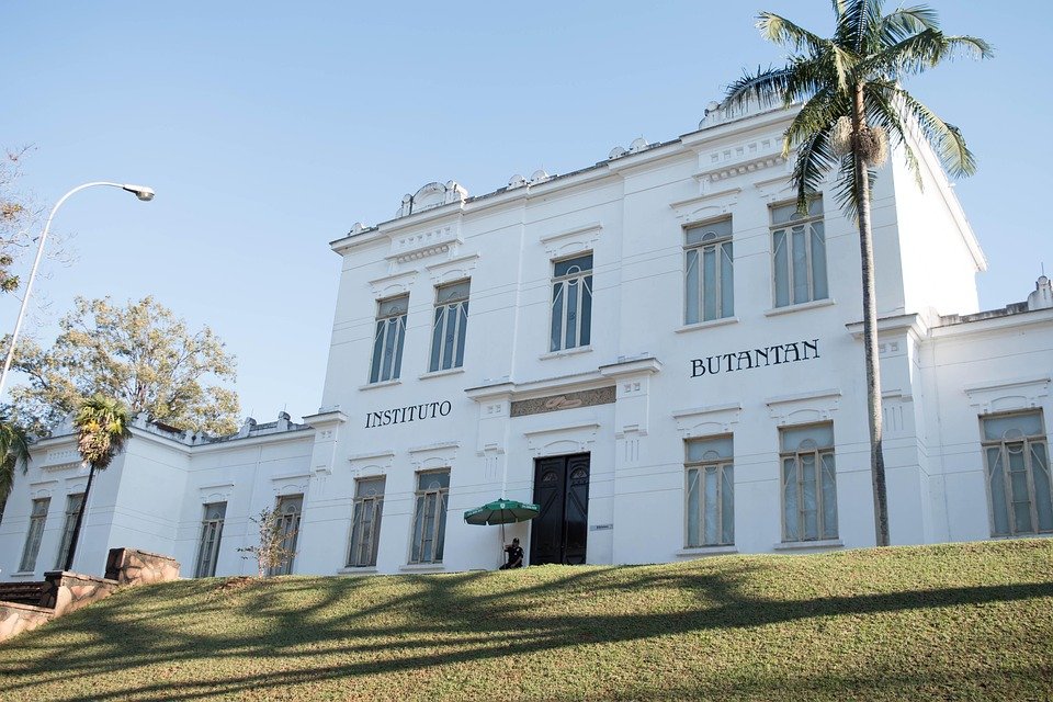 Best Things to Do in São Paulo: A Traveler’s Ultimate Guide