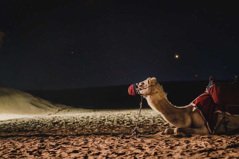 Best Time to Visit Dubai: Perfect Seasons for Your Trip