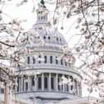Best Things to Do in Washington D.C.: Your Ultimate Travel Guide
