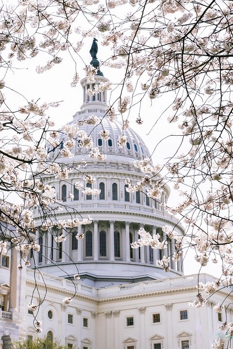 Best Things to Do in Washington D.C.: Your Ultimate Travel Guide