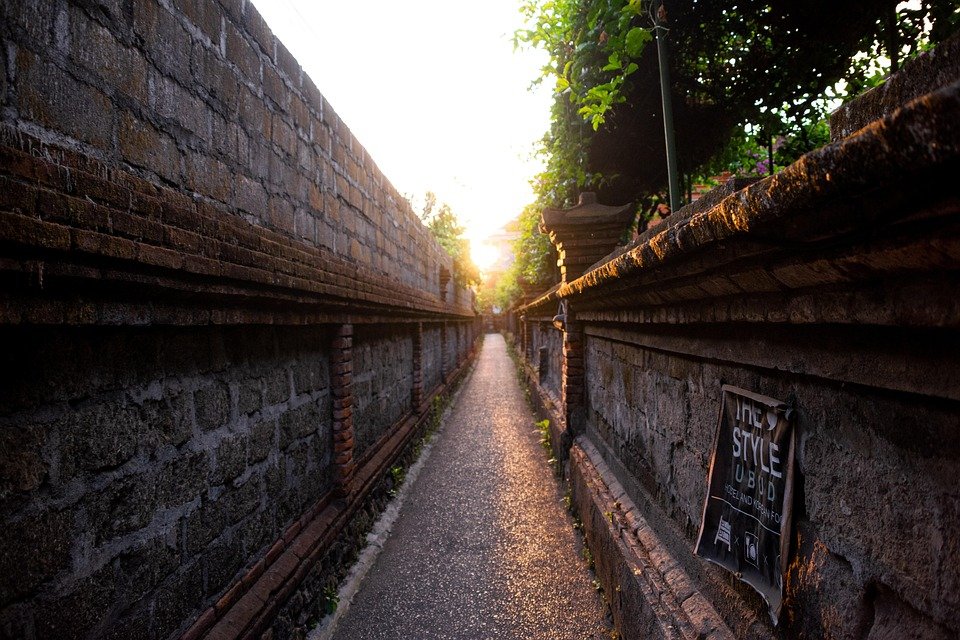 Best Things to Do in Ubud: Unforgettable Experiences Await