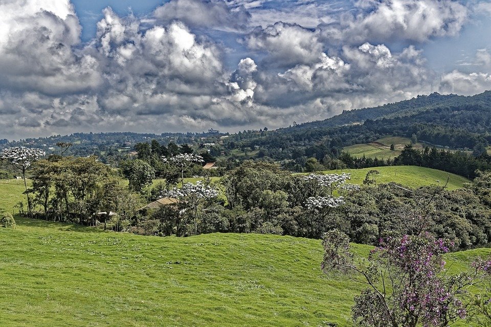 Best Things to Do in Medellín: Unforgettable Experiences Await