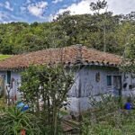 Best Time to Visit Medellín: A Traveler’s Seasonal Guide