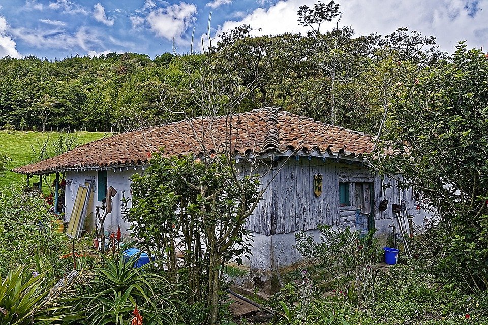 Best Time to Visit Medellín: A Traveler’s Seasonal Guide