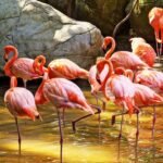 Best Time to Visit Cartagena: Tips for Perfect Travel Planning