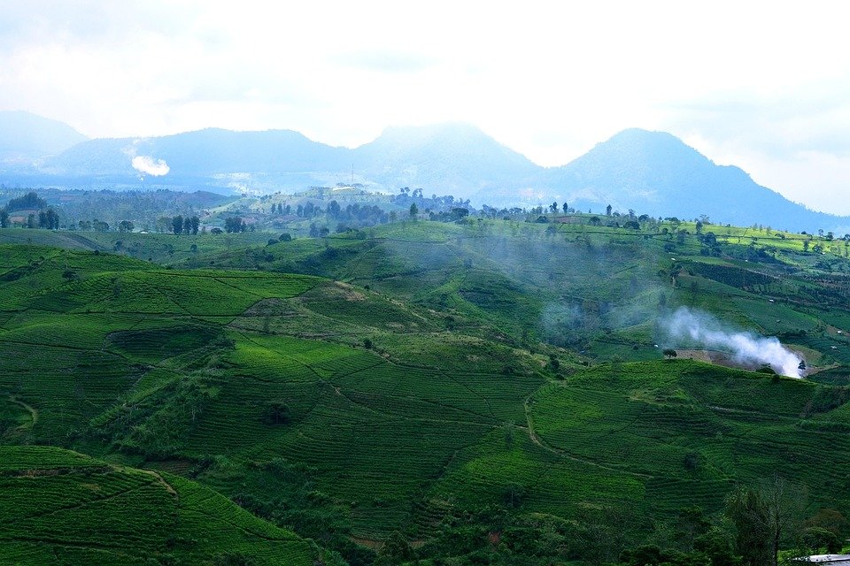 Where to Stay in Bandung: Top Picks for Every Budget