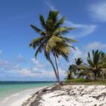 Where to Stay in Punta Cana: Top Resorts for Your Perfect Getaway