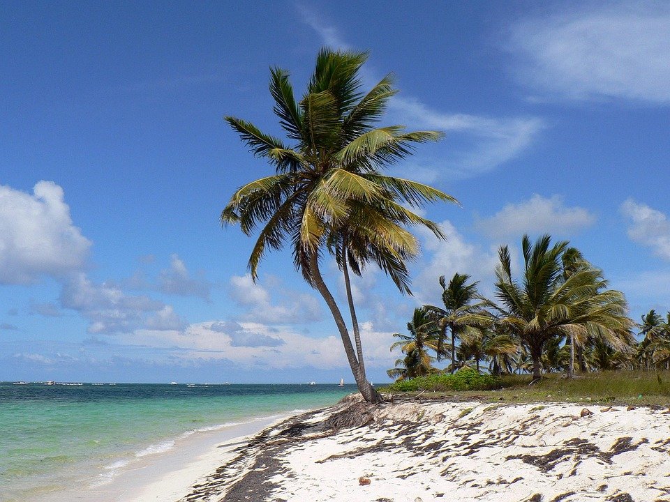 Where to Stay in Punta Cana: Top Resorts for Your Perfect Getaway