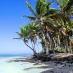 Best Things to Do in Punta Cana: Your Ultimate Travel Guide