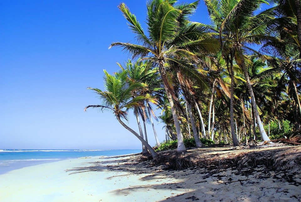 Best Things to Do in Punta Cana: Your Ultimate Travel Guide