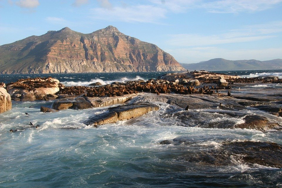 Best Things to Do in Cape Town: Top Activities for Travelers