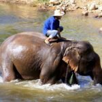 Where to Stay in Chiang Mai: Top Picks for Every Traveler