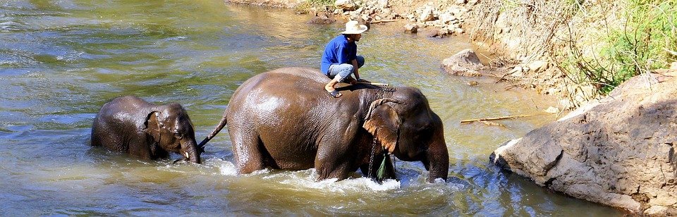 Where to Stay in Chiang Mai: Top Picks for Every Traveler