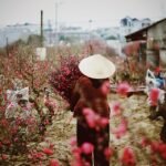 Best Things to Do in Hanoi: A Traveler’s Ultimate Guide