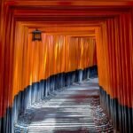 Where to Stay in Kyoto: Top Tips for Your Perfect Visit