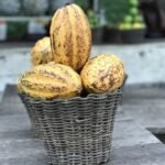 Where to Stay in Accra: Top Picks for Every Traveler