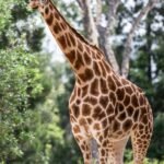 Where to Stay in Melbourne: Top Choices for Every Traveler