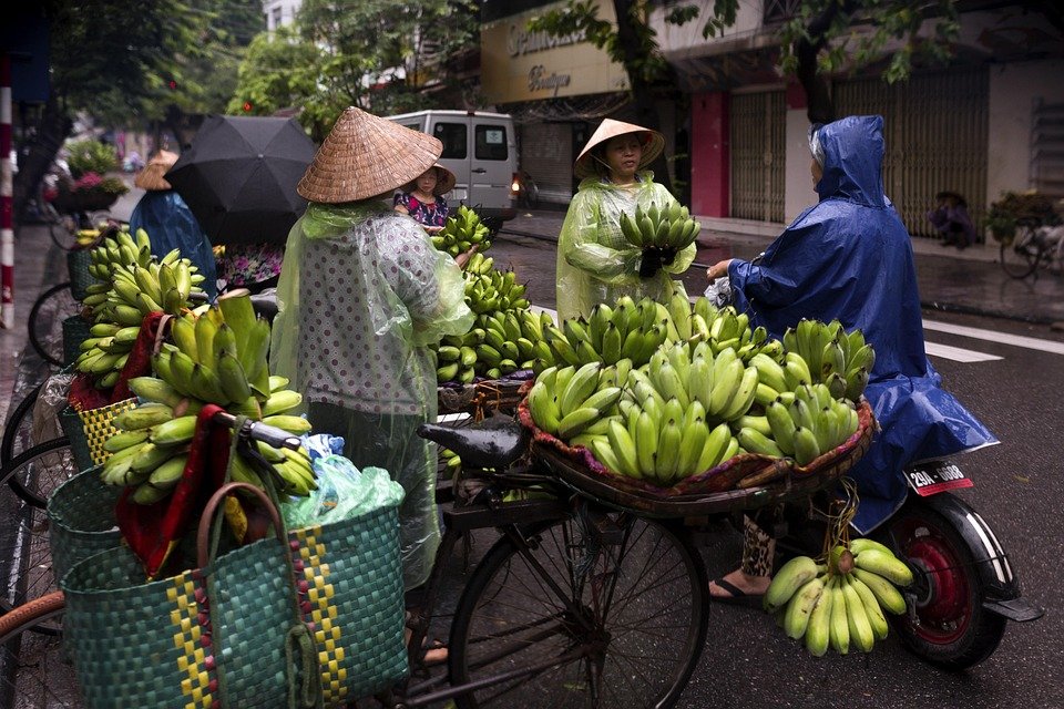 Where to Stay in Hanoi: Top Picks for Every Traveler