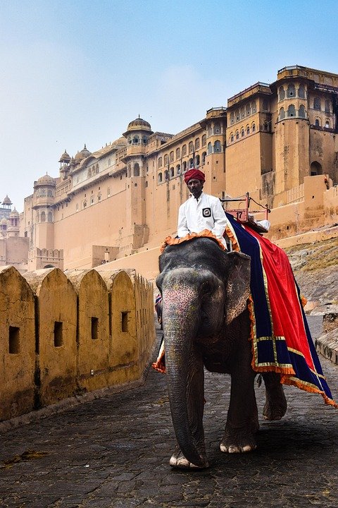 Best Things to Do in Jaipur: A Traveler’s Ultimate Guide