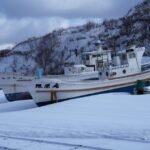 Where to Stay in Sapporo: Top Picks for Travelers’ Comfort