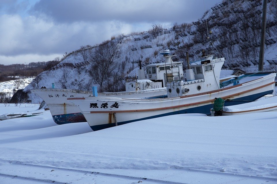 Where to Stay in Sapporo: Top Picks for Travelers’ Comfort
