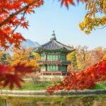 Best Things to Do in Seoul: Unforgettable Experiences Await!