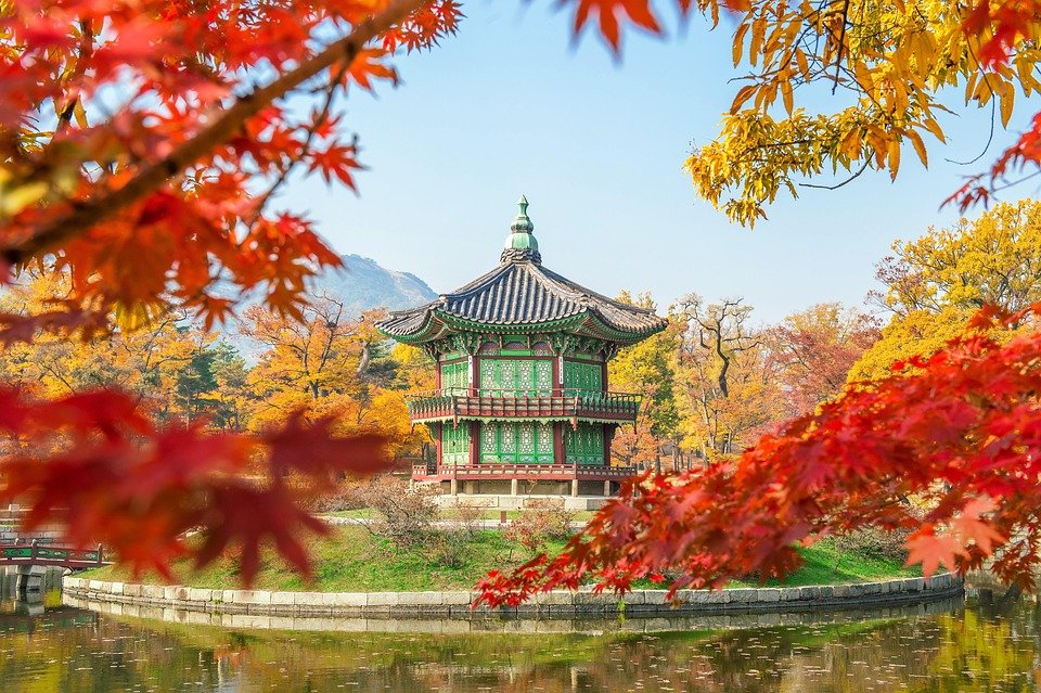 Best Things to Do in Seoul: Unforgettable Experiences Await!
