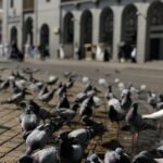 Best Time to Visit Medina: A Traveler’s Essential Guide