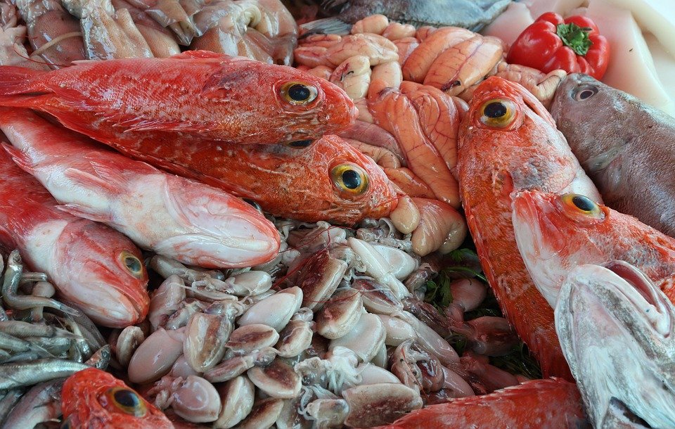 Best Time to Visit Essaouira: A Traveler’s Guide to Ideal Seasons