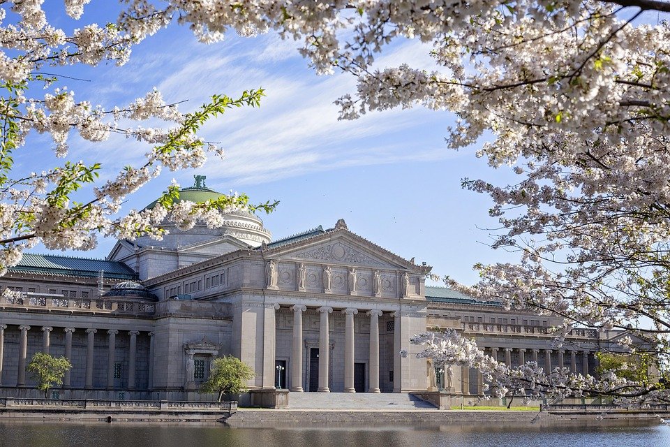 Where to Stay in Chicago: Top Neighborhoods for Every Traveler