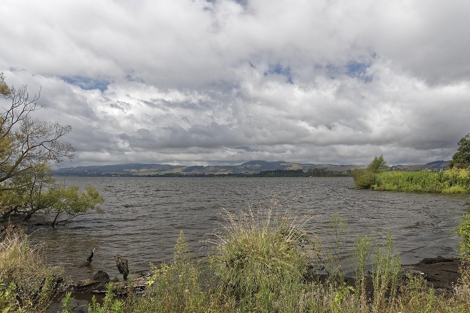 Best Time to Visit Rotorua: Tips for Your Perfect Getaway