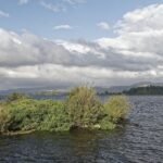 Where to Stay in Rotorua: Top Accommodations for Your Visit