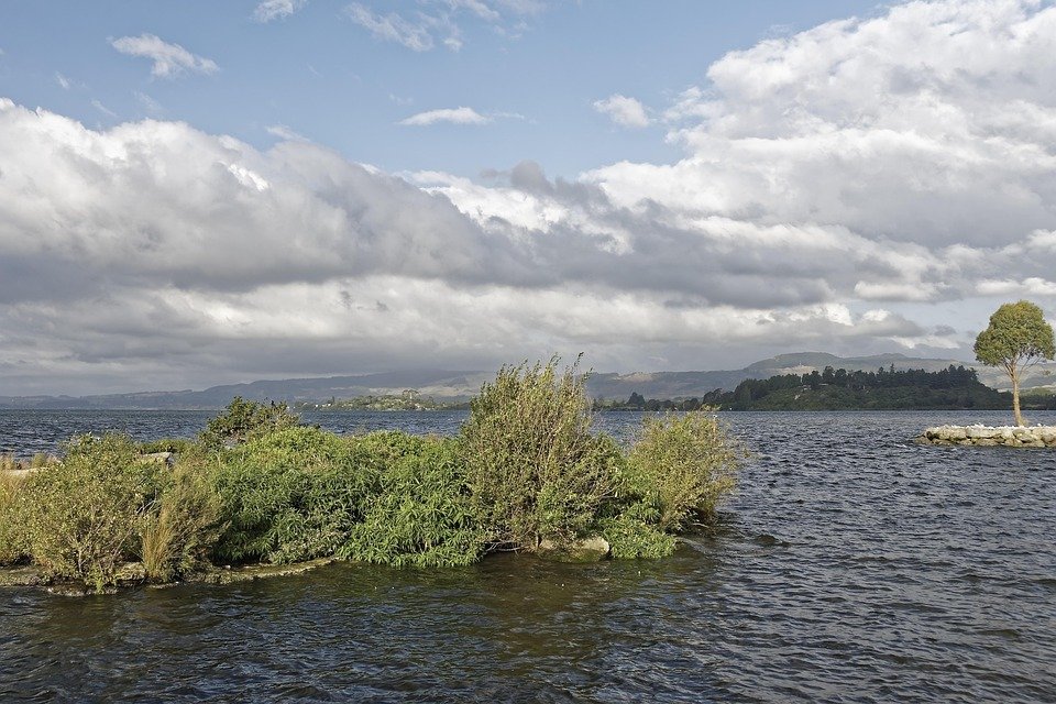 Where to Stay in Rotorua: Top Accommodations for Your Visit