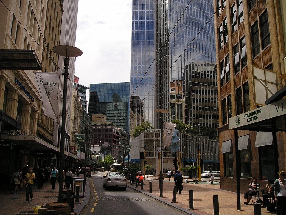Best Time to Visit Wellington: Your Ultimate Travel Guide