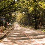 Best Time to Visit Manila: Unforgettable Experiences Await