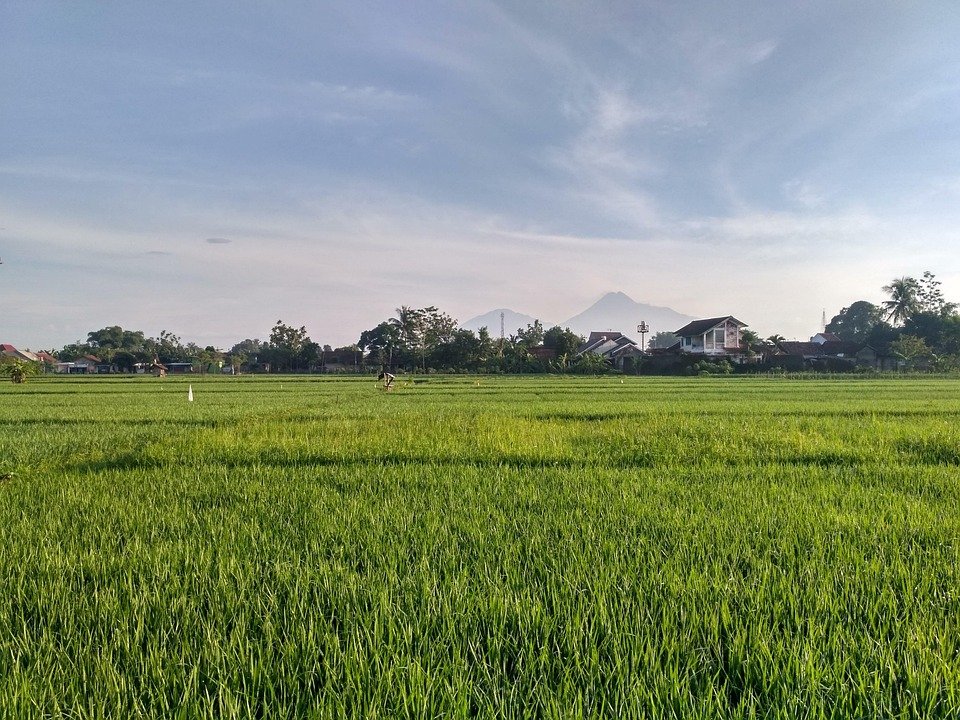 Where to Stay in Yogyakarta: Top Accommodations for Travelers