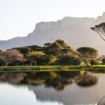 Best Time to Visit Cape Town: A Traveler’s Ultimate Guide