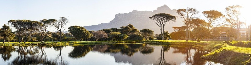 Best Time to Visit Cape Town: A Traveler’s Ultimate Guide