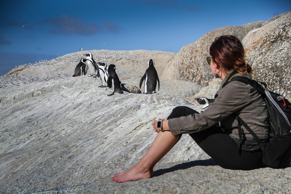 Best Time to Visit Cape Town: Your Ultimate Travel Guide