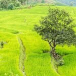 Best Things to Do in Chiang Mai: Unforgettable Experiences Await Best Things to Do in Chiang Mai: Unforgettable Experiences Await