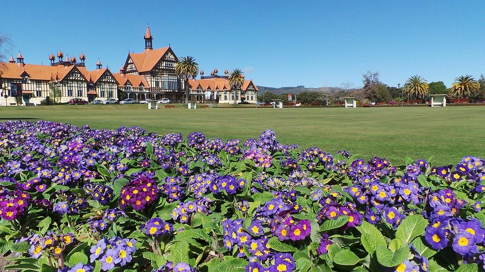 Best Things to Do in Rotorua: Ultimate Guide for Travelers