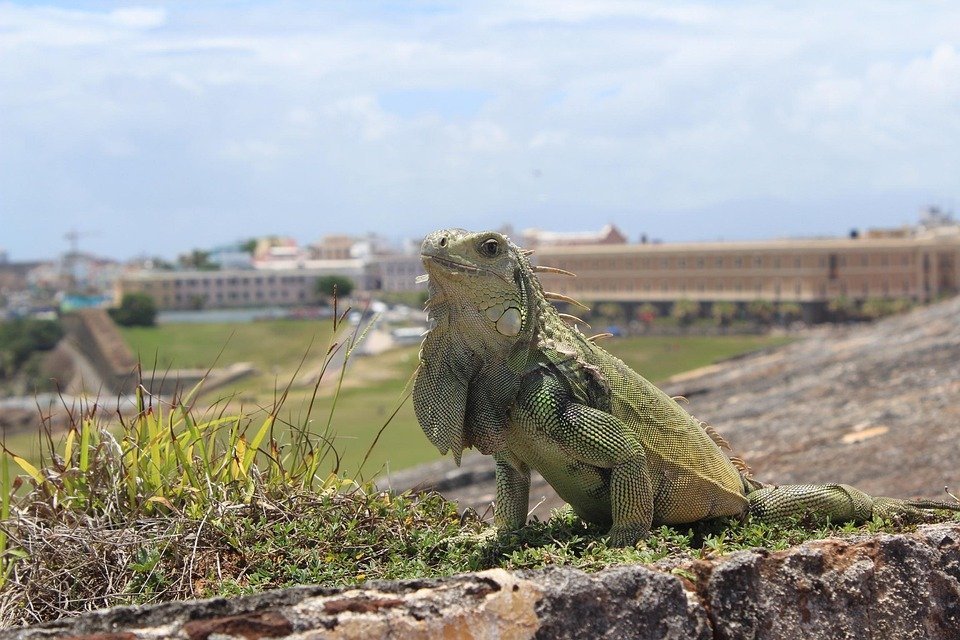 Best Time to Visit San Juan: Perfect Seasons for Travelers
