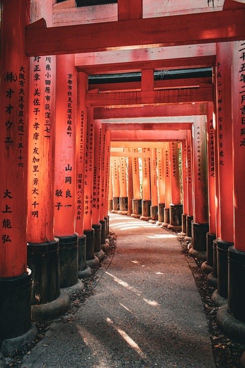 Best Things to Do in Kyoto: Unmissable Experiences Await