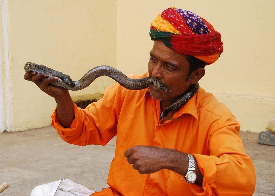 Best Time to Visit Jaipur: Your Ultimate Travel Guide