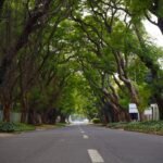Where to Stay in Johannesburg: Top Picks for Every Traveler