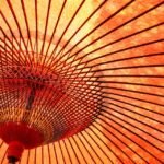 Best Time to Visit Kyoto: A Seasonal Traveler’s Guide