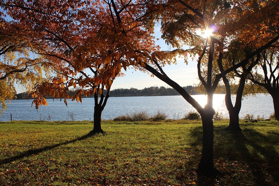 Best Time to Visit Washington D.C.: A Traveler’s Guide