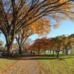 Best Things to Do in Washington D.C.: Top Attractions Unveiled