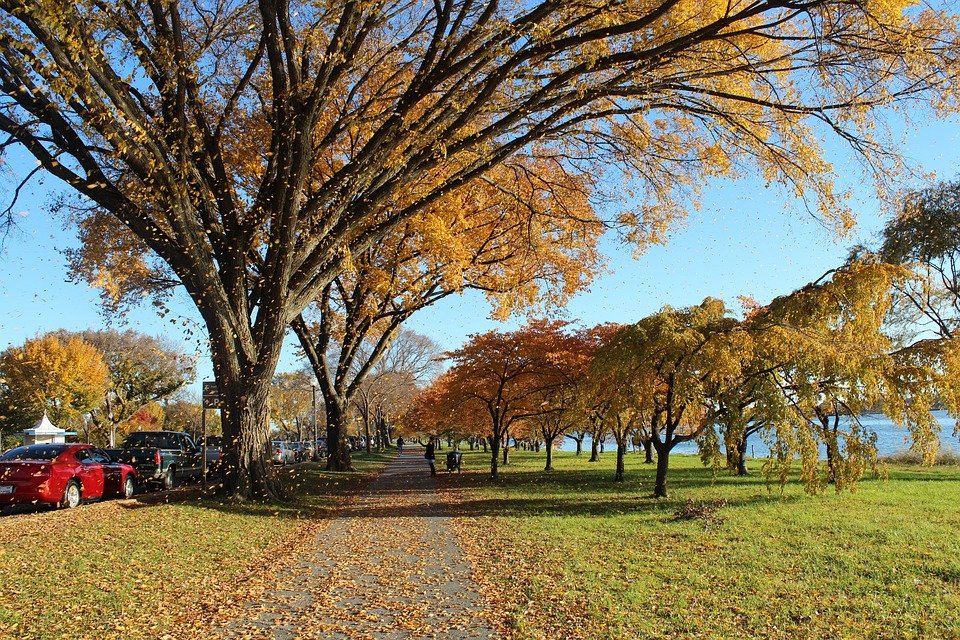 Best Things to Do in Washington D.C.: Top Attractions Unveiled