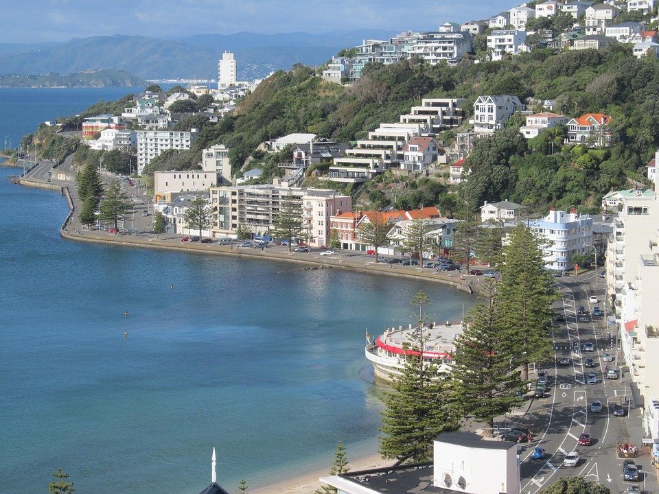 Best Things to Do in Wellington: Unforgettable Experiences Await!